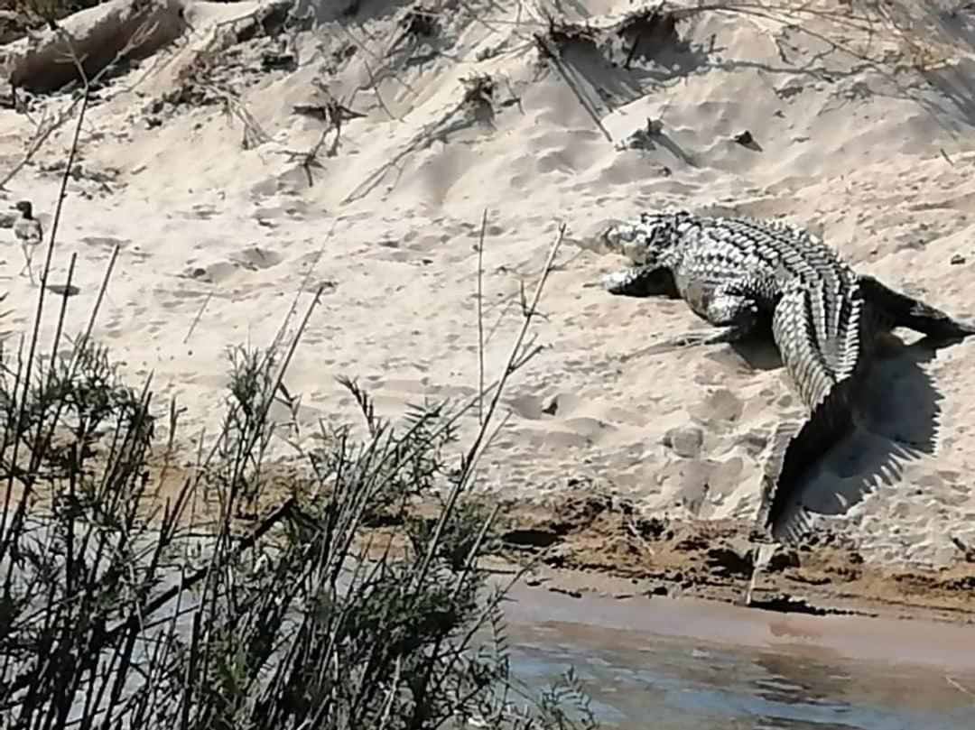 Camp Hogo Kavango Рунду Экстерьер фото