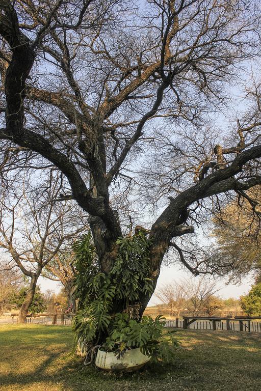 Camp Hogo Kavango Рунду Экстерьер фото