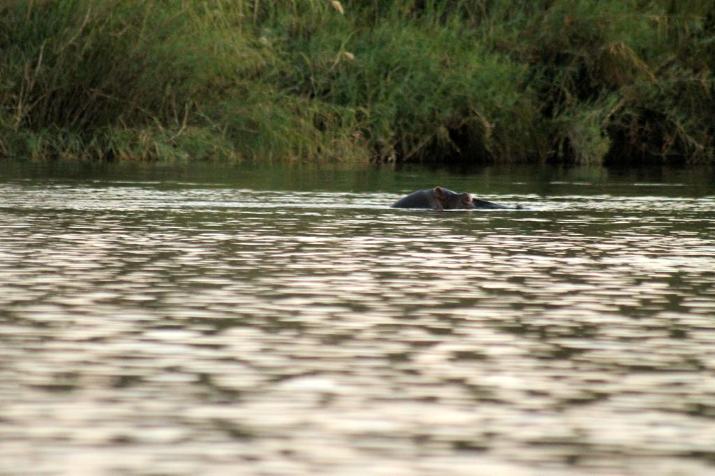 Camp Hogo Kavango Рунду Экстерьер фото