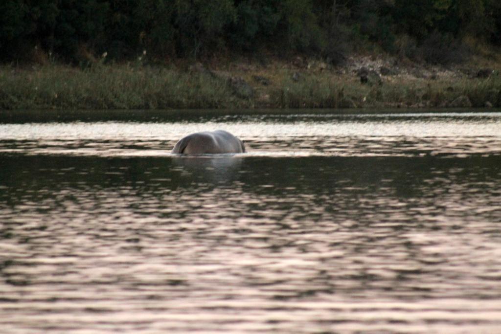 Camp Hogo Kavango Рунду Экстерьер фото